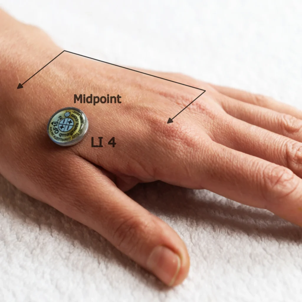 HeGu Acupuncture Point