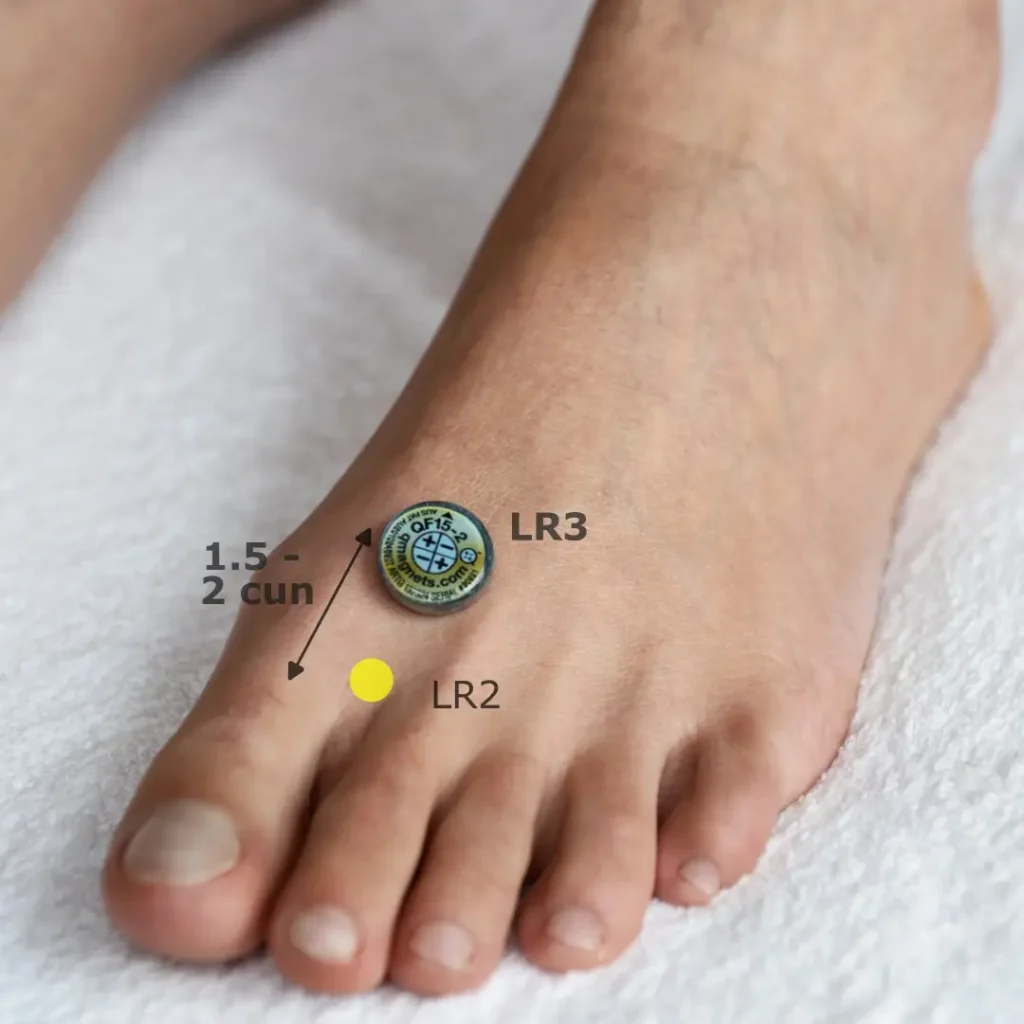 Tai Chong Acupuncture Point